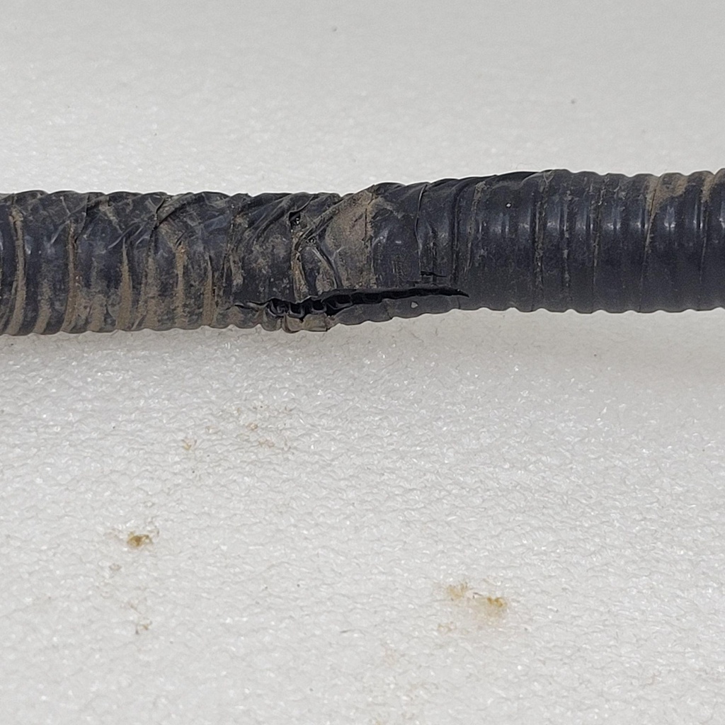CF00194