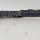 CF00194
