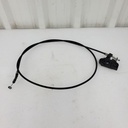 517303484-001