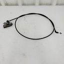 517303484-001