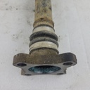 CF00904