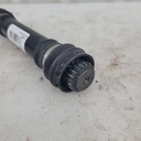 CF00833