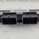 420666309-001