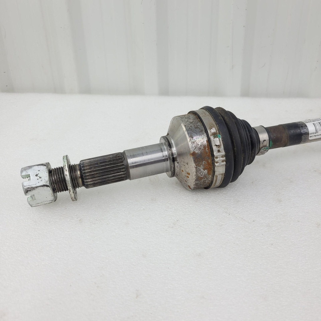 20250418_102904.jpg