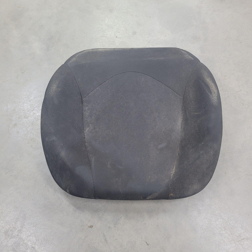 BASF47006000-001