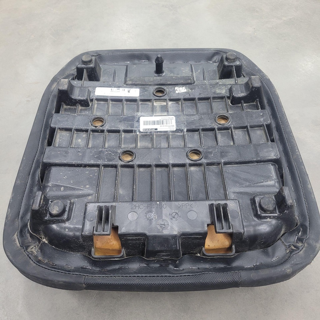 BASF47006000-001