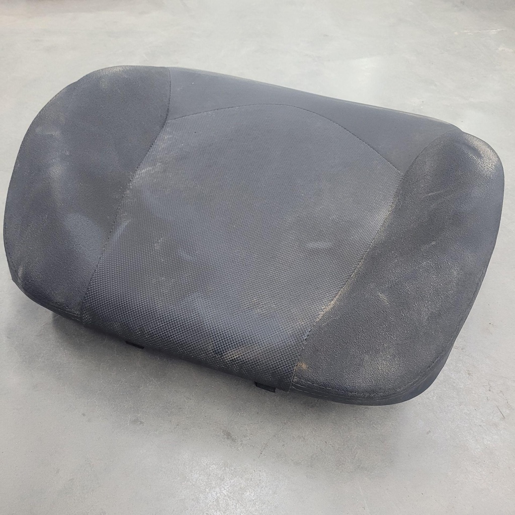 BASF47006000-001
