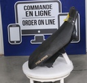2686695-070-00102.jpg