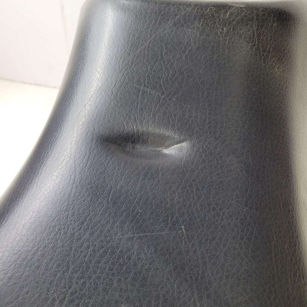 20250411_104352.jpg