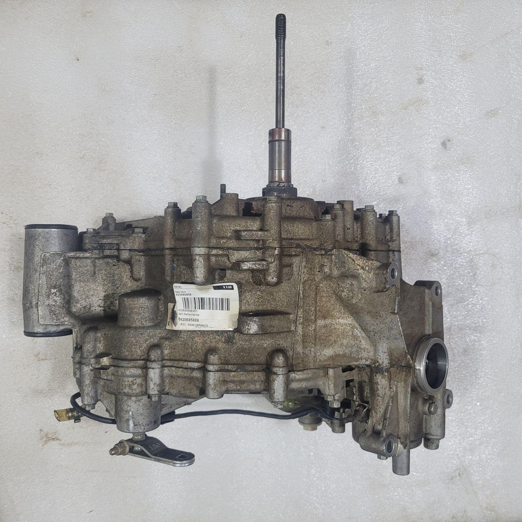 420685808-001