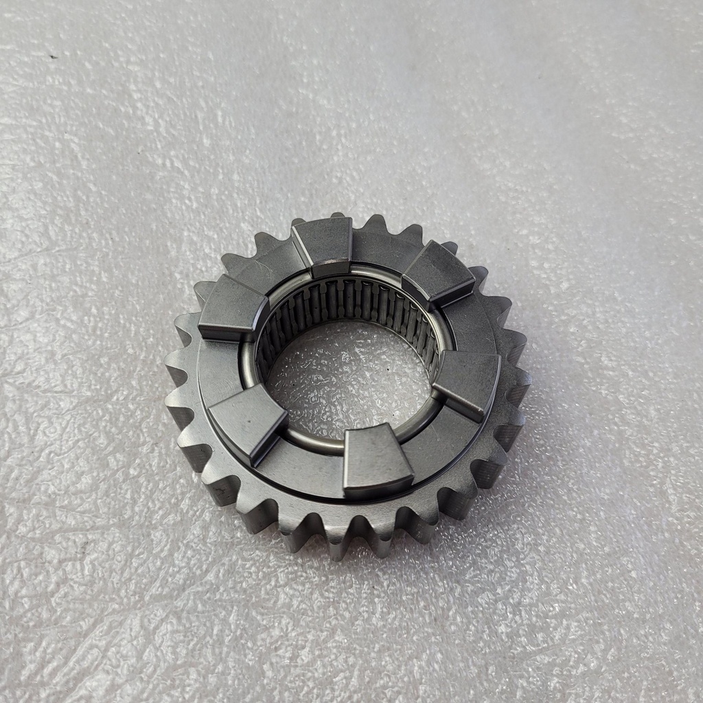 20250324_153517.jpg
