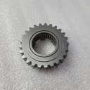 20250324_153523.jpg