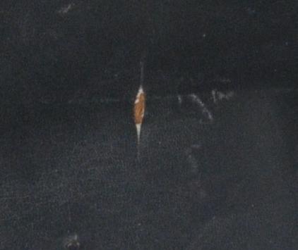 59V247100000-00106.jpg