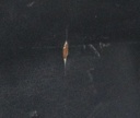 59V247100000-00106.jpg