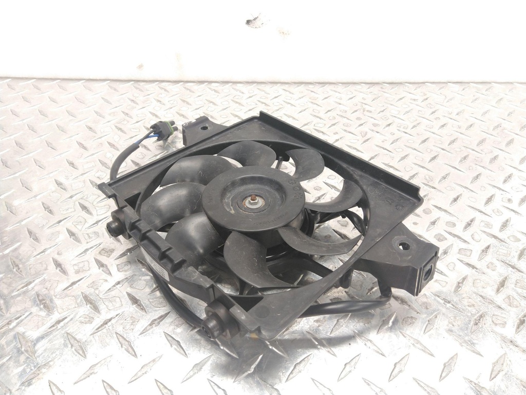 509001039-001