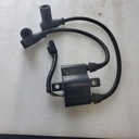 IG3792-001