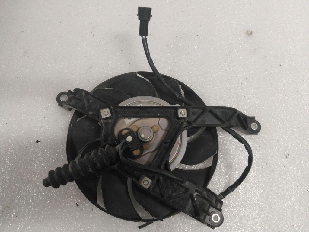 17800-31G10-001