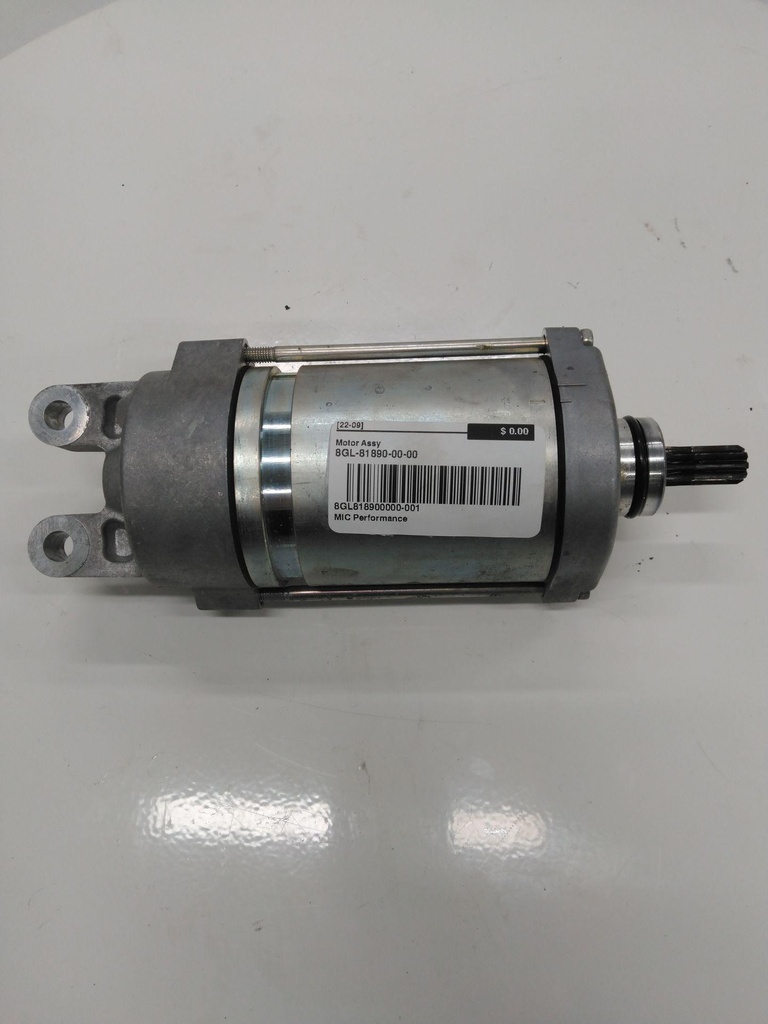 8GL818900000-001