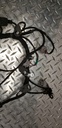 420665637-001