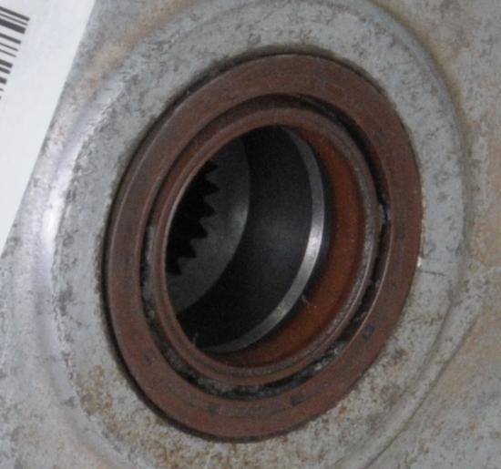 3235281-0017.jpg