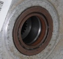 3235281-0017.jpg