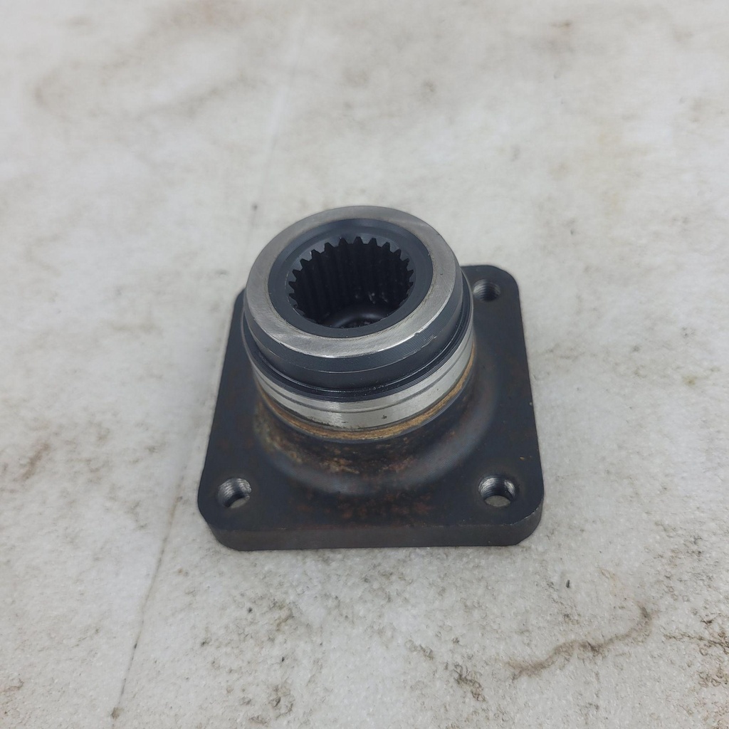 CF02313
