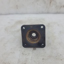 CF02313