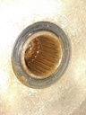 1332971-001