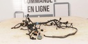 515176983-001