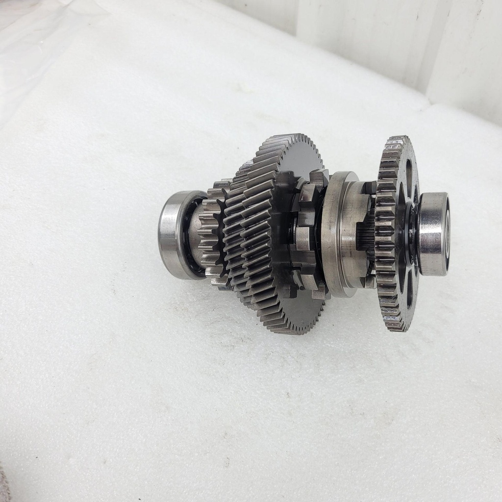 20250926_095458.jpg