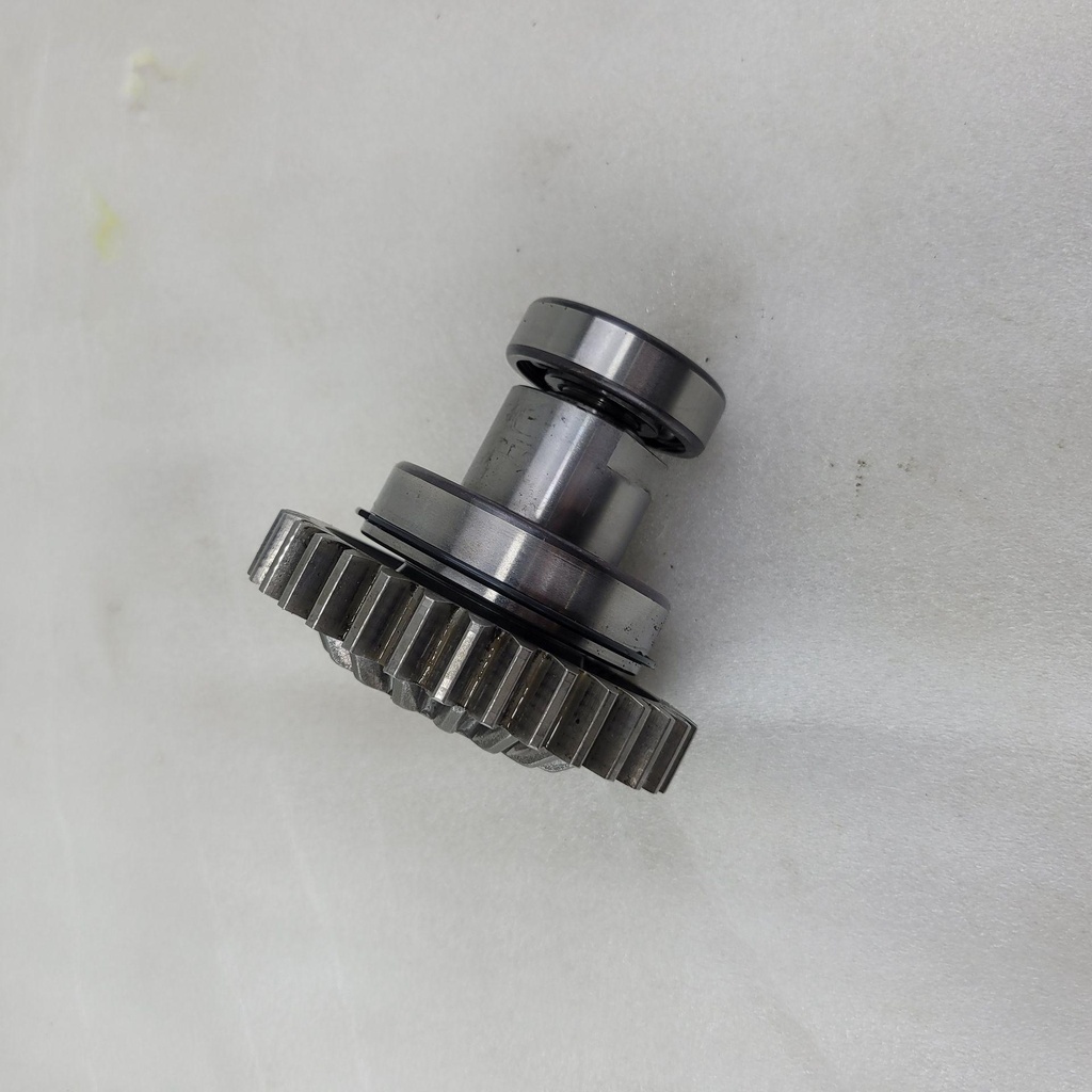 20250320_113150.jpg