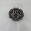 20250320_113155.jpg