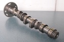 420820204-0012.jpg