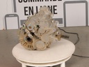 1333696-00108.jpg