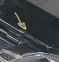 2415074-0017.jpg