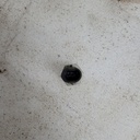 4015069-001