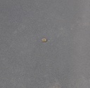 2691928-070-0015.jpg