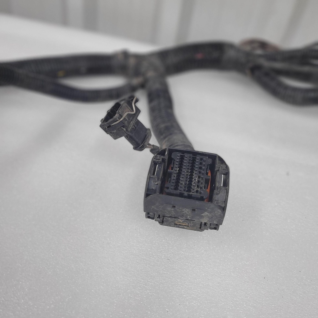 20240905_142709.jpg