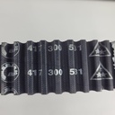 417300558-001