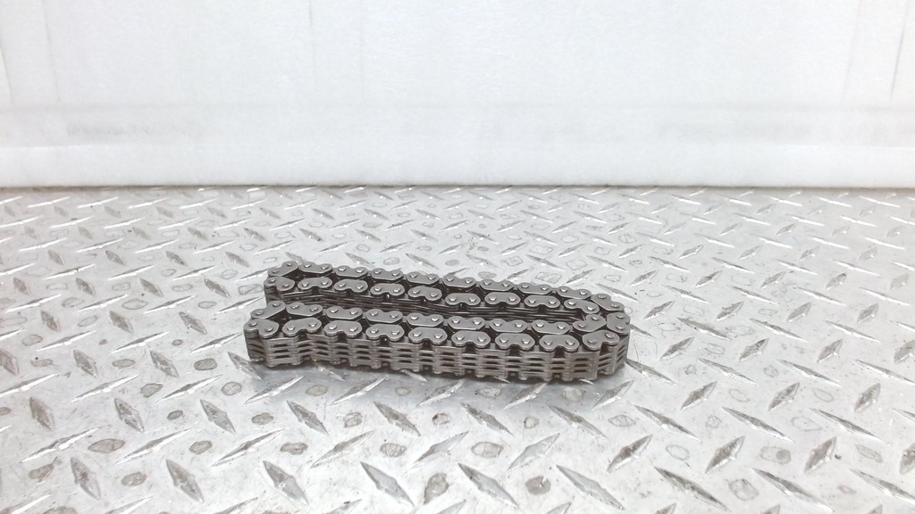 chain, rex 11