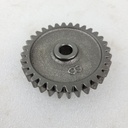 middle gear