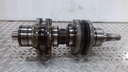 (new ref. 420893787) crankshaft ass'y