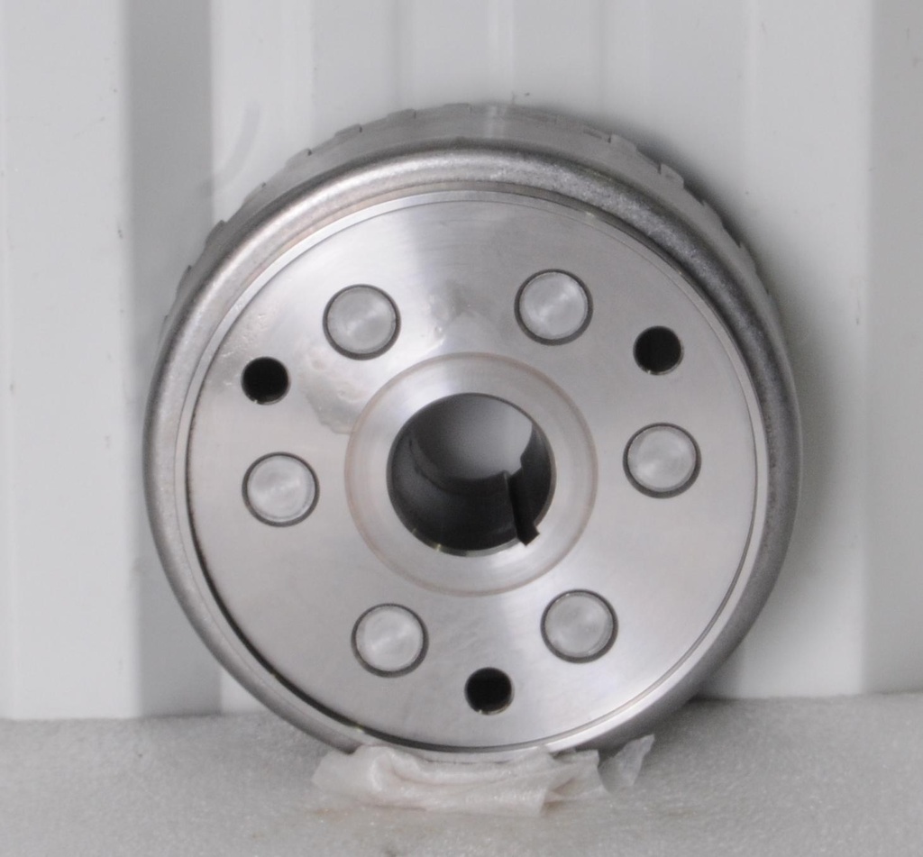 [420686197-001] flywheel (420686197-001)