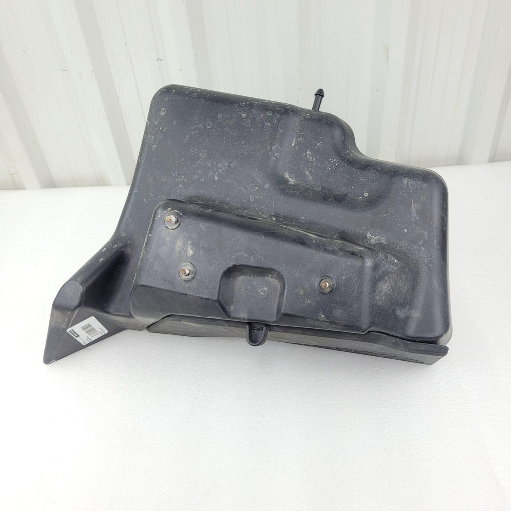 left trunk