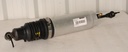rear shock ass'y