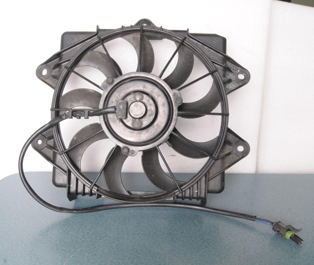 fan