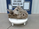 Gear Box