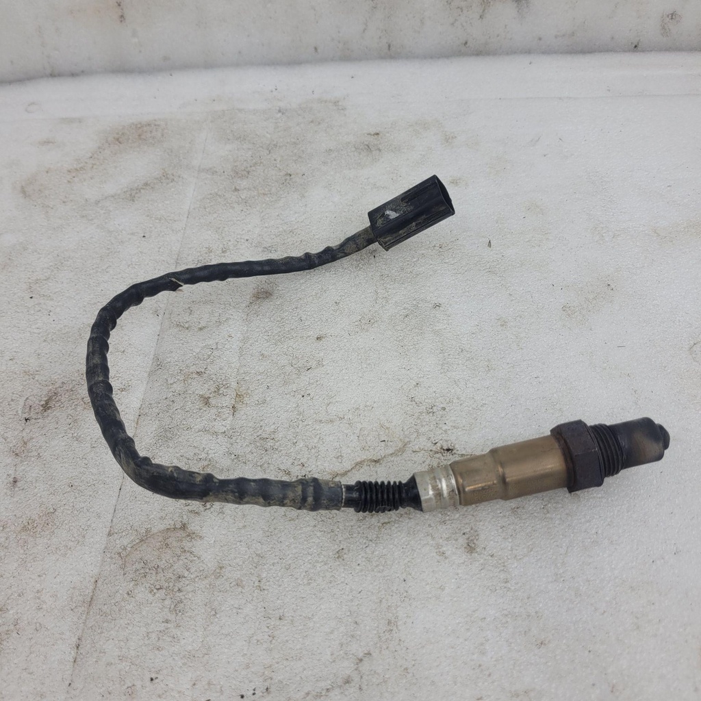 oxygen sensor