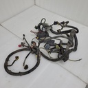 WIRING HARNESS MAIN