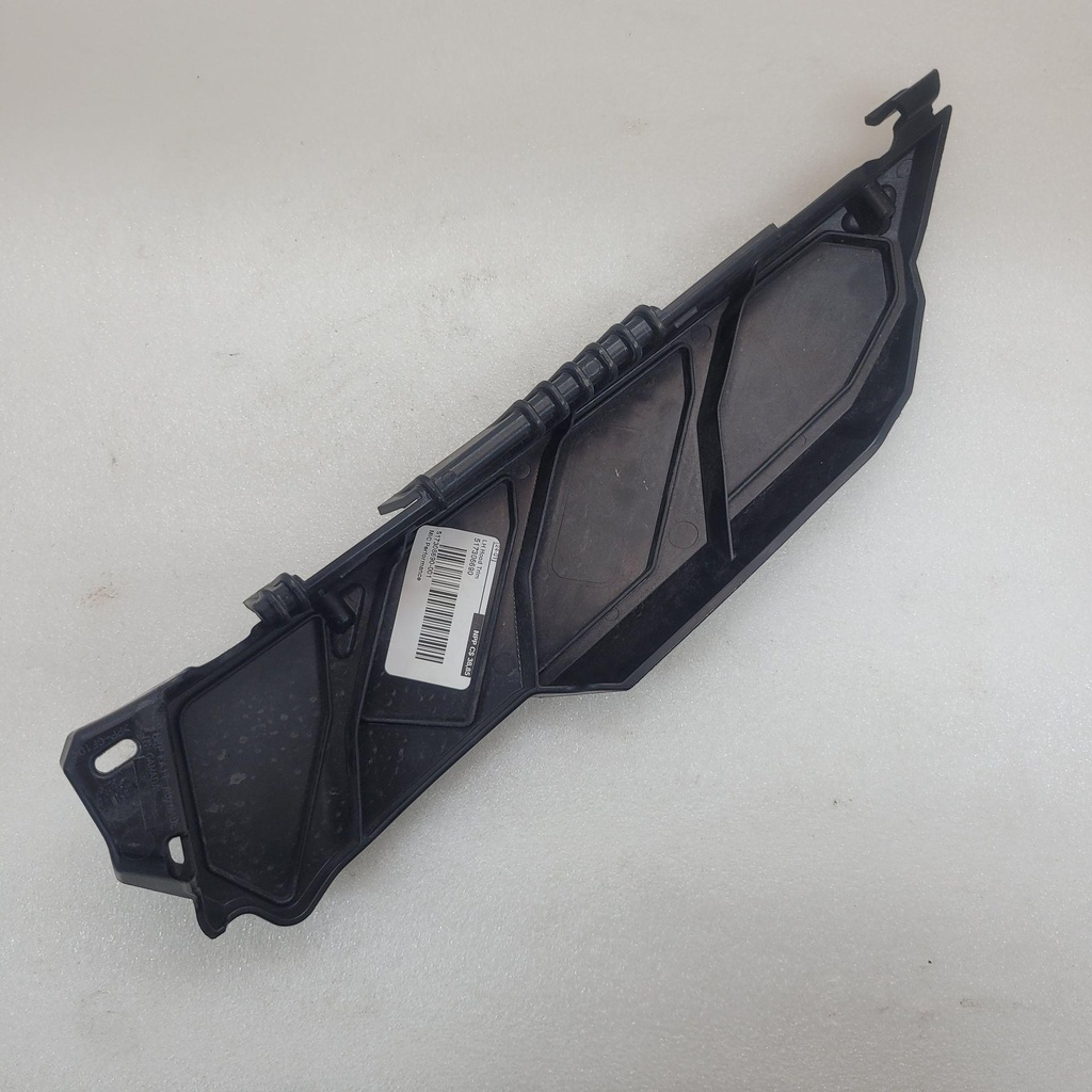 LH Hood Trim